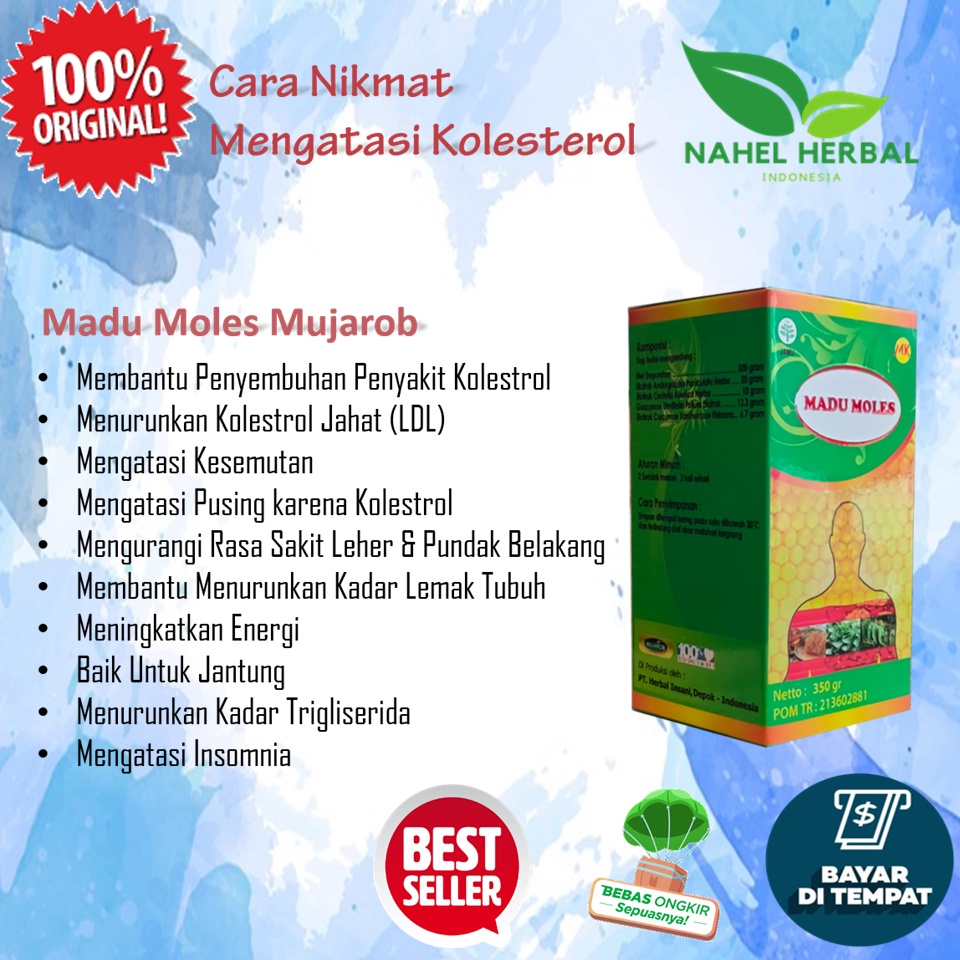Obat Assalam Asam Urat Cina Dan Flu Tulang  Reumatik Alami - Madu Kolestrol Mujarob Bpom - Asam Urat