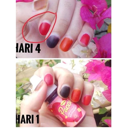 く PACCI INAI KUKU HALAL ォ