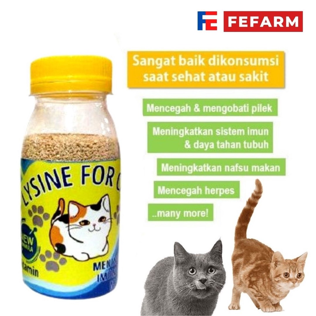 PENGGEMUK KUCING LYSINE PLUS VITAMIN LENGKAP FEFARM