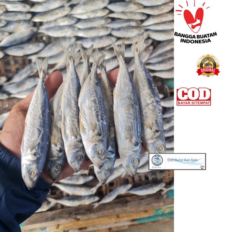 Jual Ikan Asin Peda Layang Super 250 Gram Murah Enak Shopee Indonesia