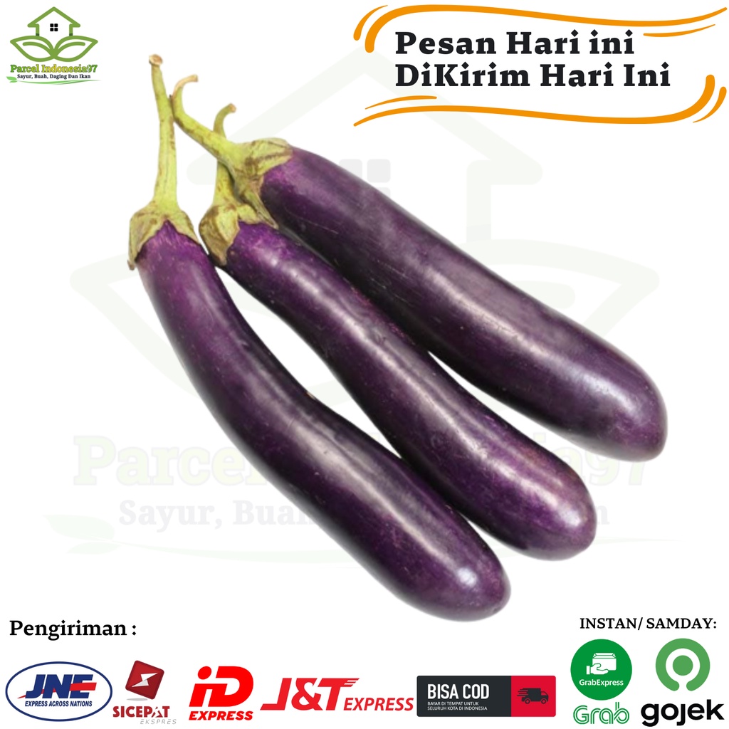 

Terong ungu sayuran segar