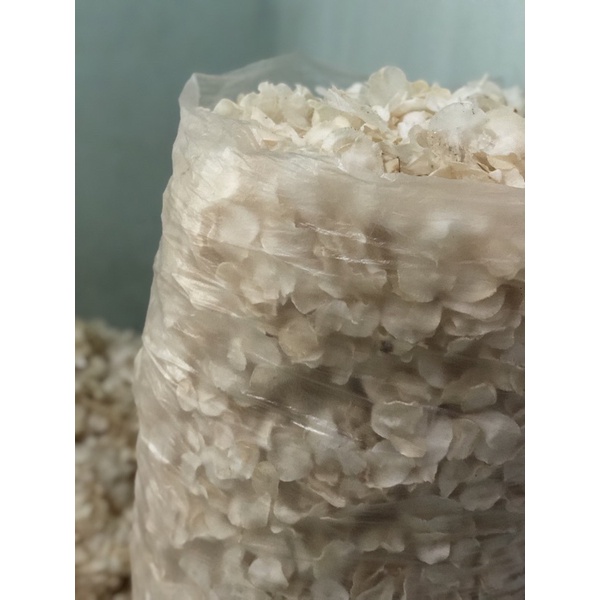 

Keripik Singkong Mentah Grosir Khas Jepara 1kg