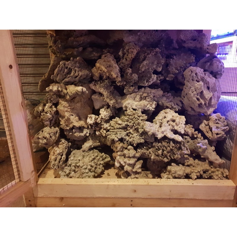 Batu Karang Mati Dead Rock Satuan Random untuk Scapping Aquarium