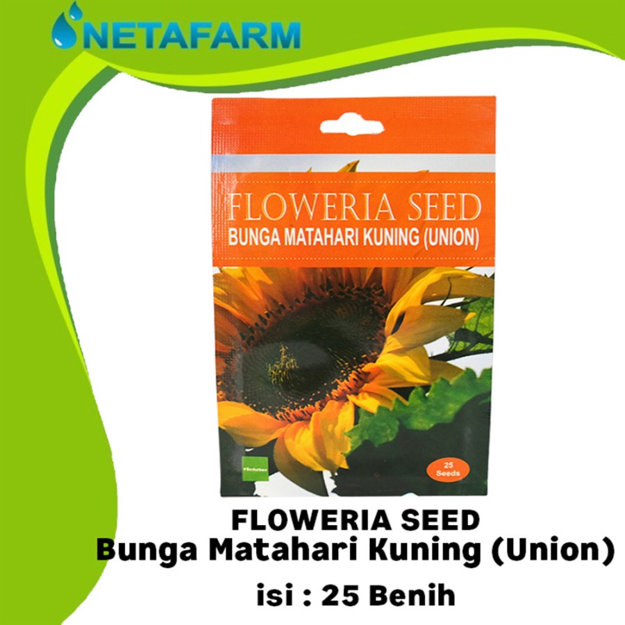 Benih Biji Bibit Bunga Matahari Kuning UNION Floweria Seed - 25 Seed