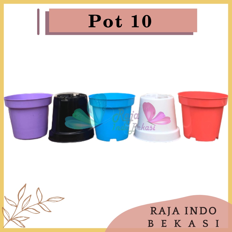 Pot Bunga 10 Cm Warna Warni Putih Hijau Kuning Pink Ungu Pot Bunga Hias Ukuran Mirip Pot Tawon 10 Cm