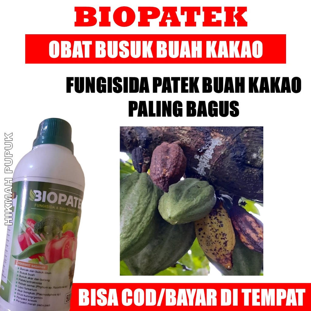 BIOPATEK Pupuk Mengobati Bercak Buah Coklat - Pupuk Semprot Atasi Busuk Buah Coklat - Pupuk Fungisid