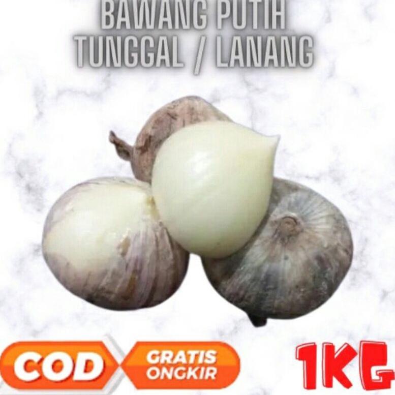 

READY STOCK Bagus Pilihan Bawang Putih Tunggal TOV 1 kg Bawang Lanang ! 861