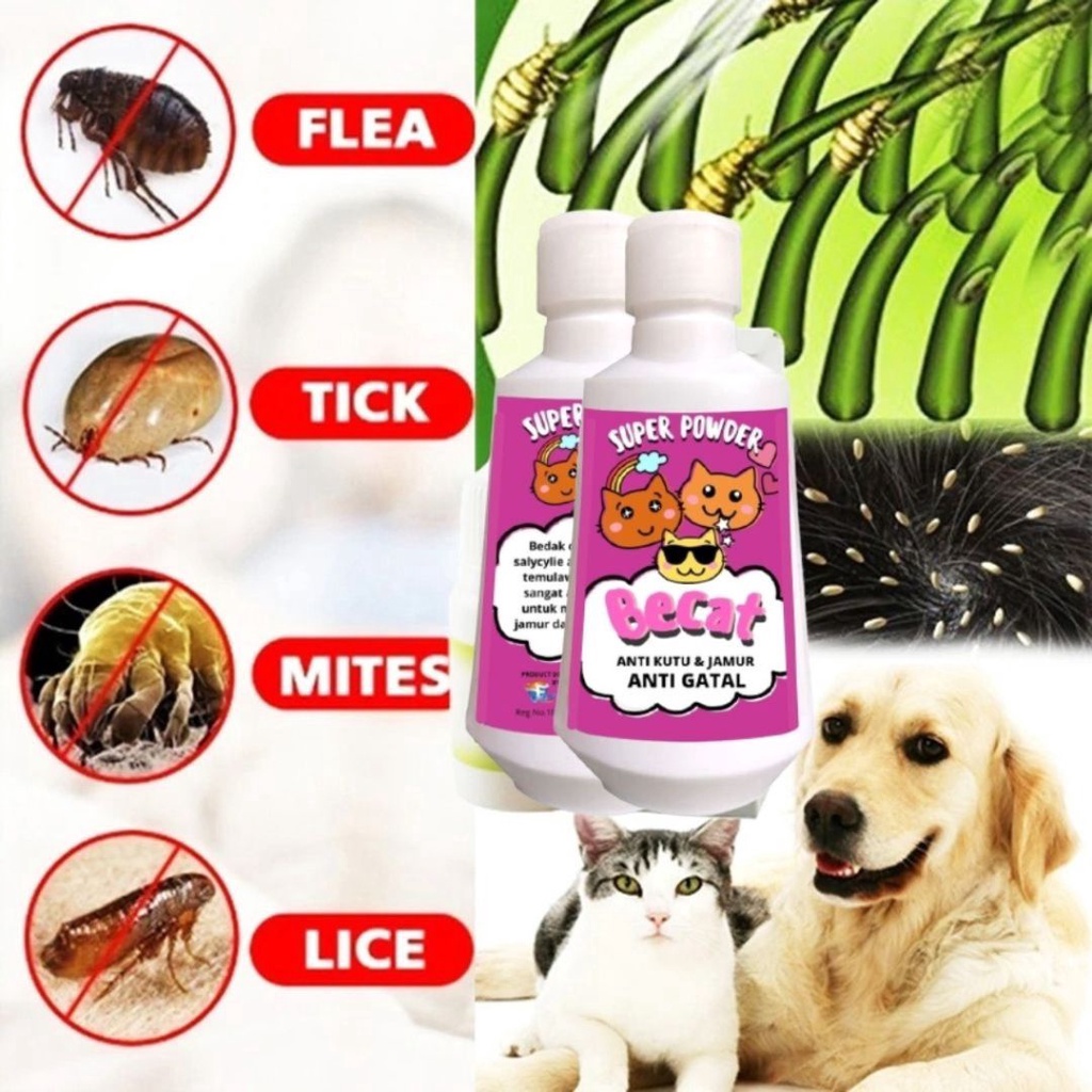 PAKET SHAMPOO/SAMPO SKUNK OFF BECAT KUCING ANJING ANTI KUTU DAN JAMUR 250 ML - SHAMPOO GROOMING ANJING, KUCING FEZONE