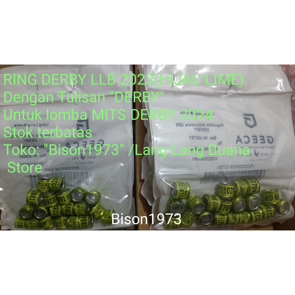 RING LLB DERBY 2023 MERPATI POS/RACING PIGEON