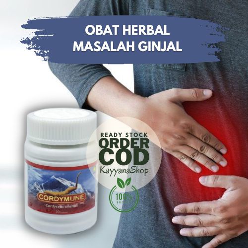 Vitamin Daya Tahan Tubuh Dewasa / Vitamin Anak Daya Tahan Tubuh / Vitamin Untuk Daya Tahan Tubuh / V