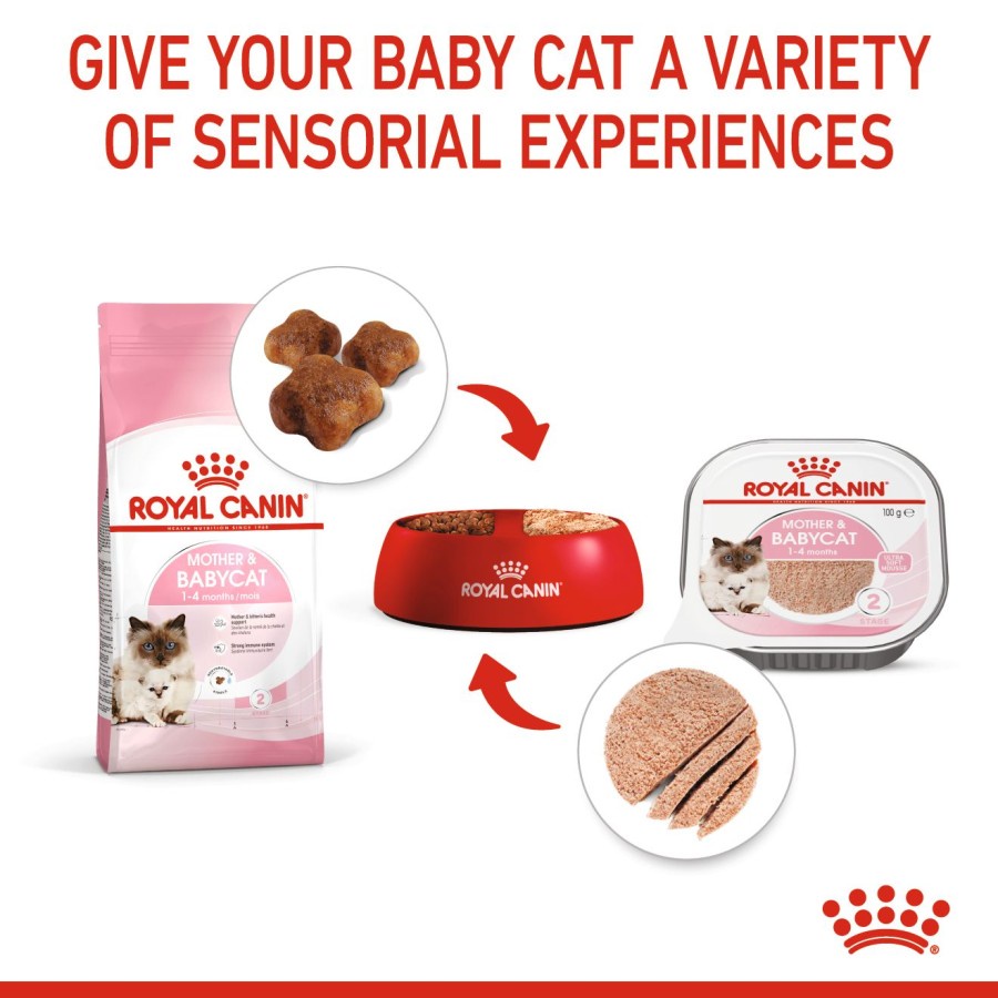 Royal Canin Mother &amp; Babycat (400g) Dry + Mousse Alutray (100gx11) Wet