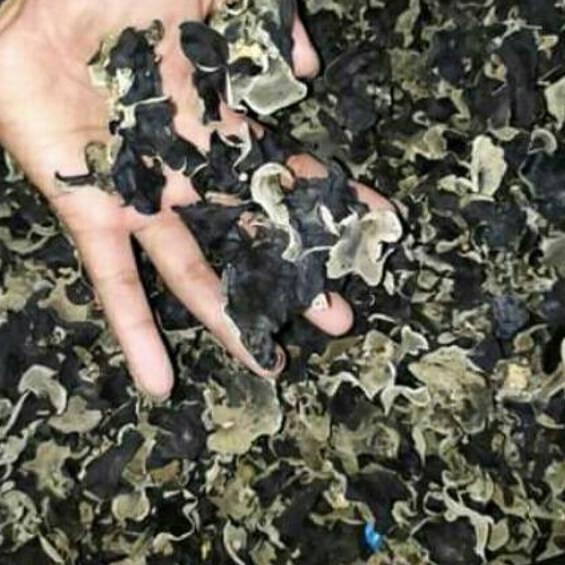 

limited STOCK!Jamur Kuping kering 500gram|KD4