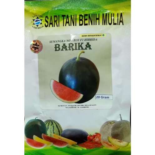 BENIH SEMANGKA BARIKA NON BIJI, SARI TANI BENIH MULIA