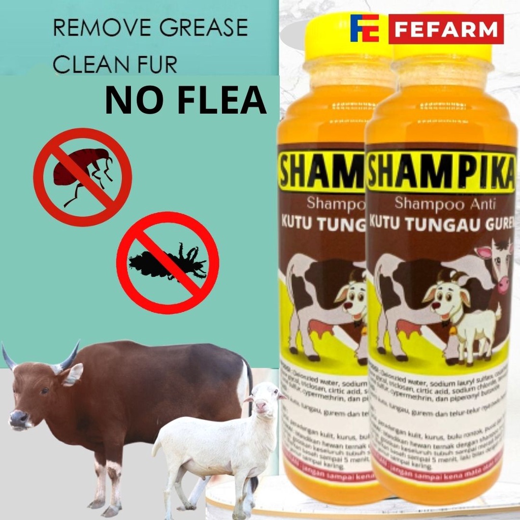 SAMPO KUDA SAPI KAMBING SHAMPIKA SHAMPO PENGHILANG KUTU PARASIT CAPLAX TUNGAU FEFARM