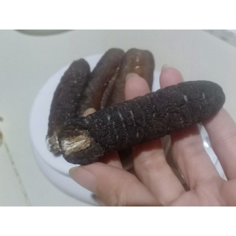 

Haisim/ Thutsim / Teripang gosok