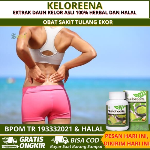 Obat Sakit Tulang ekor, Obat Sakit Tulang Ekor Belakang, Obat Sakit Tulang Belakang   Saraf Kejepit,