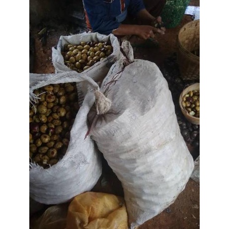 

ㅚ Jengkol tua 1kg ㊚