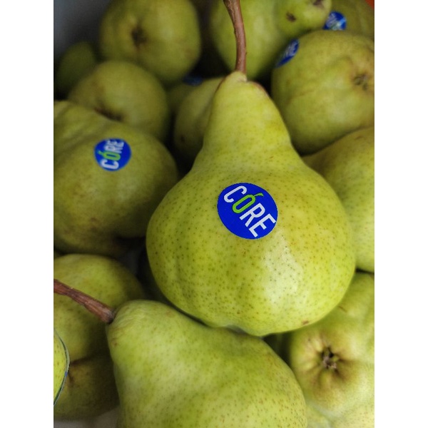 

Pear Hijau / Pear packham 1kg