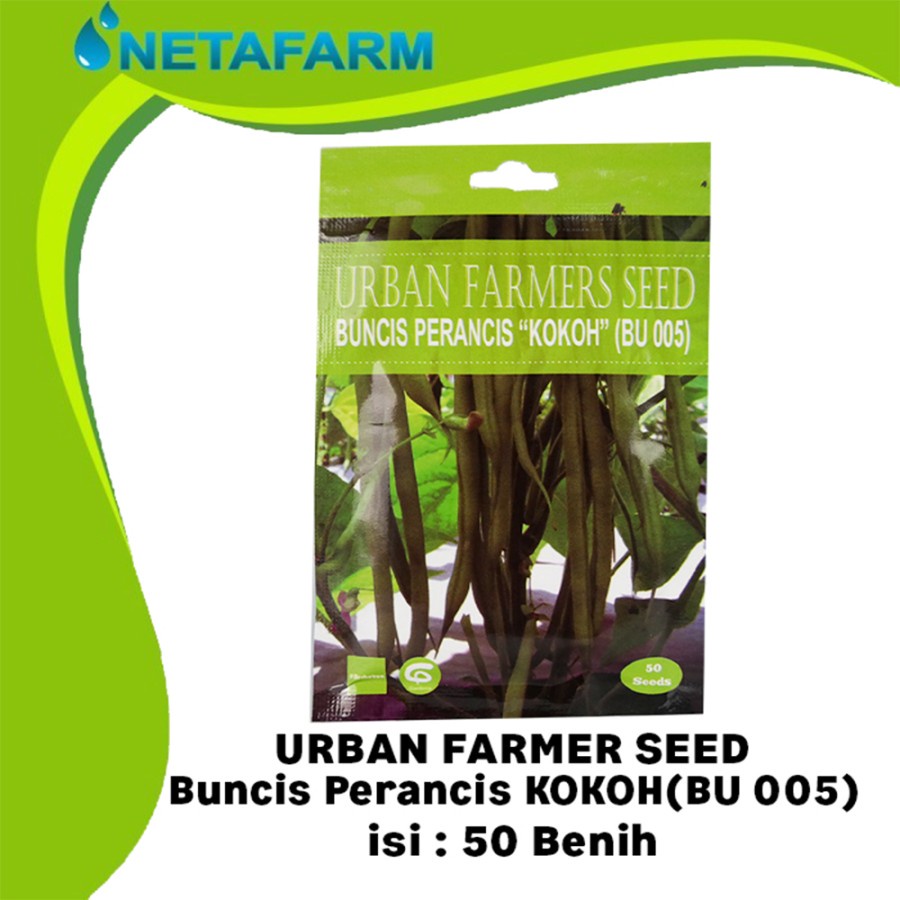 Benih Biji Bibit Buncis Perancis KOKOH Urban Farmers Seed - 50 Seed