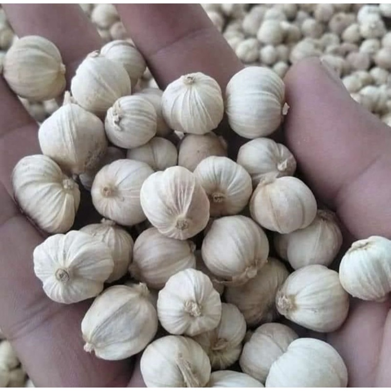 

kapulaga kering kemasan ekonomis