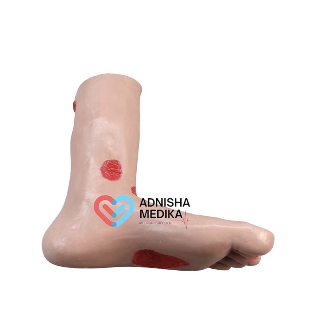 PHANTOM MANIKIN MODEL KAKI LUKA