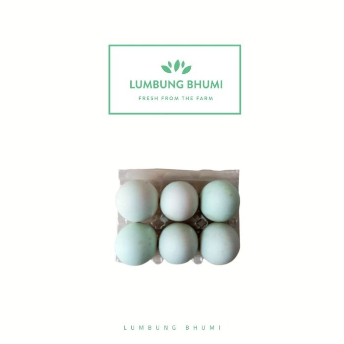 

Lumbung Bhumi - Telur Bebek Mentah 6 Butir ( Bahan Pokok )