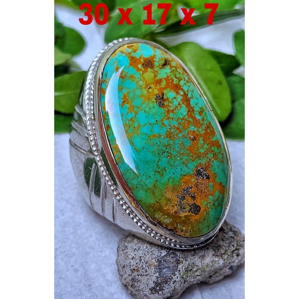 Pirus Persia Hijau Bkn Bacan Pandan Garut
