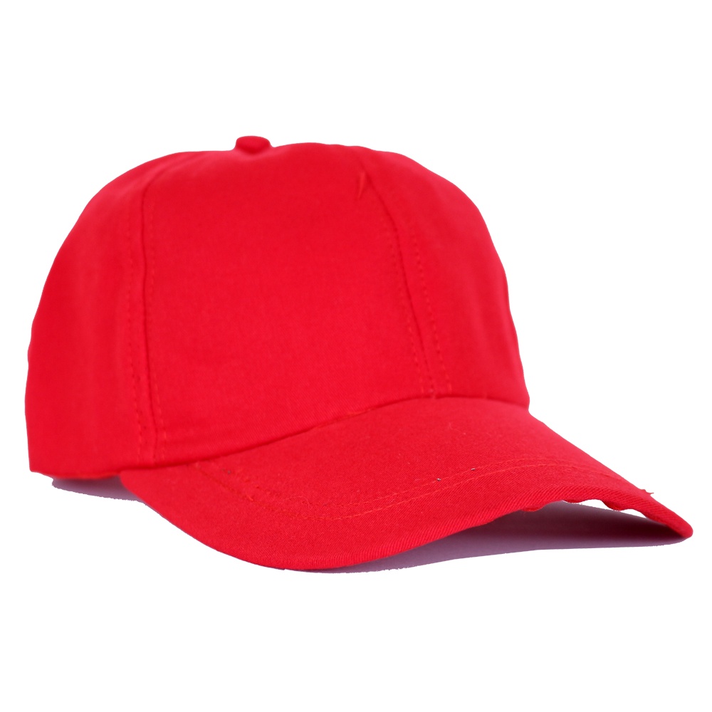 Topi Terbaru Pria TOP 08