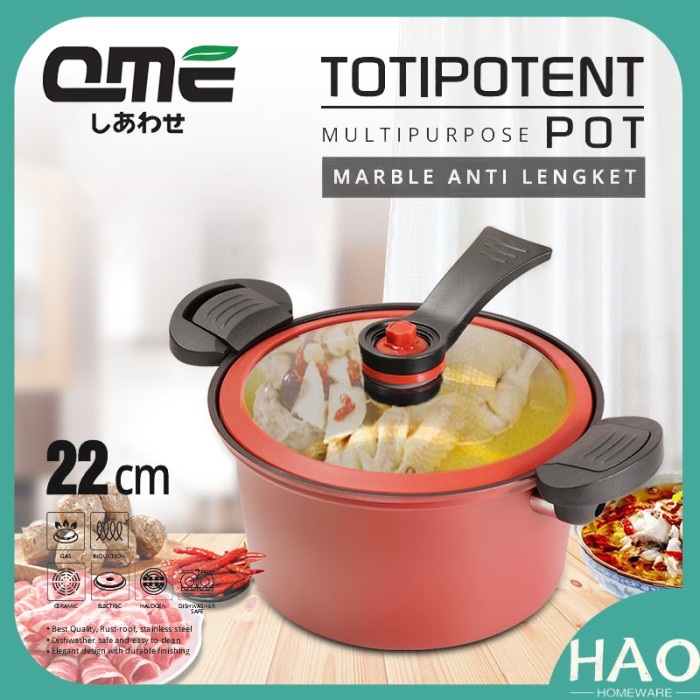 Presto Qme Panci Presto Teflon Totipotent Micro Pressure Cooker Pot 22Cm 3.5L