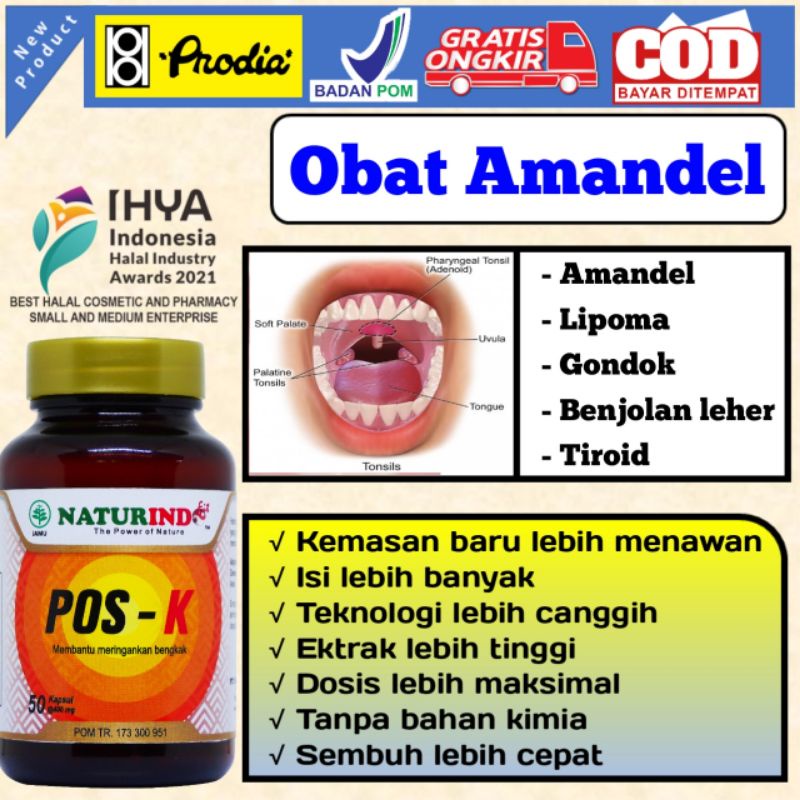 Obat Amandel Paling Ampuh Obat Amandel Bengkak Obat Amandel Anak Obat Amandel Untuk Anak Obat Radang