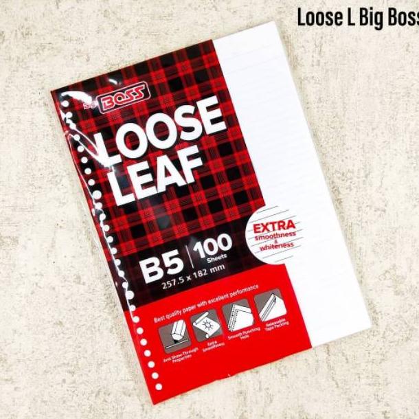

⇹ LOOSE LEAF / ISI BINDER BIG BOSS B5 100 ム