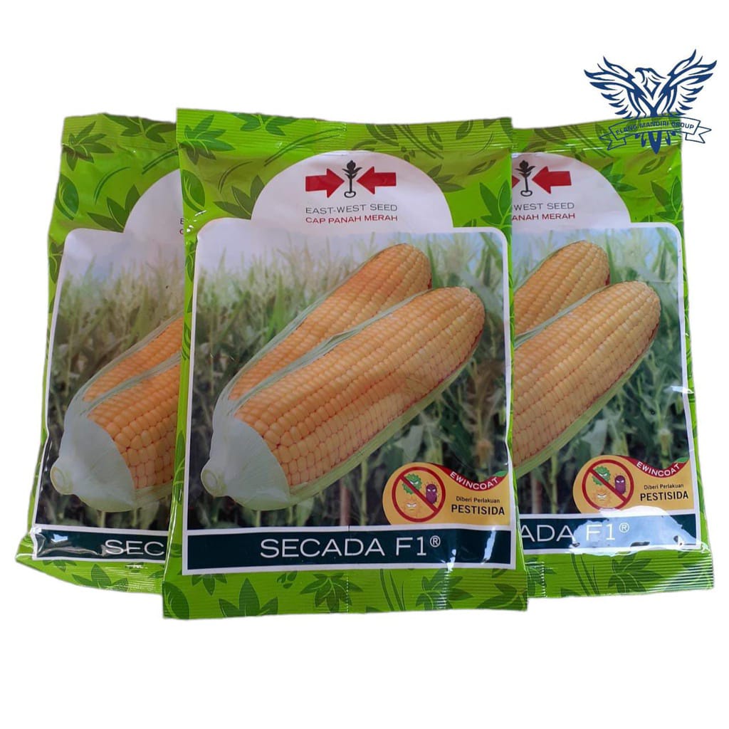 Benih Jagung Manis Secada F1 1.800 Butir Dari Panah Merah