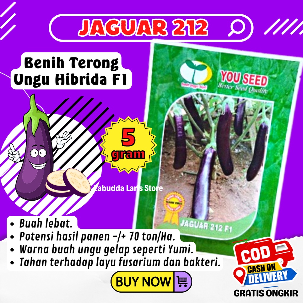 Benih Terong Jaguar 212 F1 - Benih Unggul Terong Ungu Jaguar F1 Tahan Virus Kemasan 5 Gram Original 