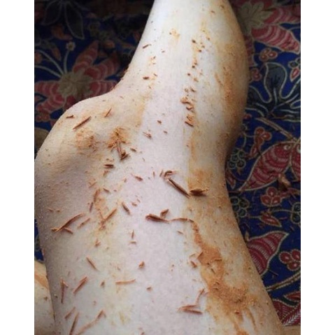 ぜ BPOM lulur rempah kuning / timung osyin glow せ