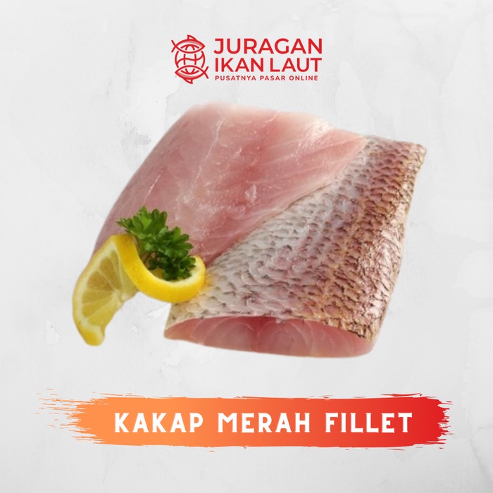 

Ikan Kakap Merah Fillet Segar Berkualitas No Glazzing - 450 ~ 550 Gram