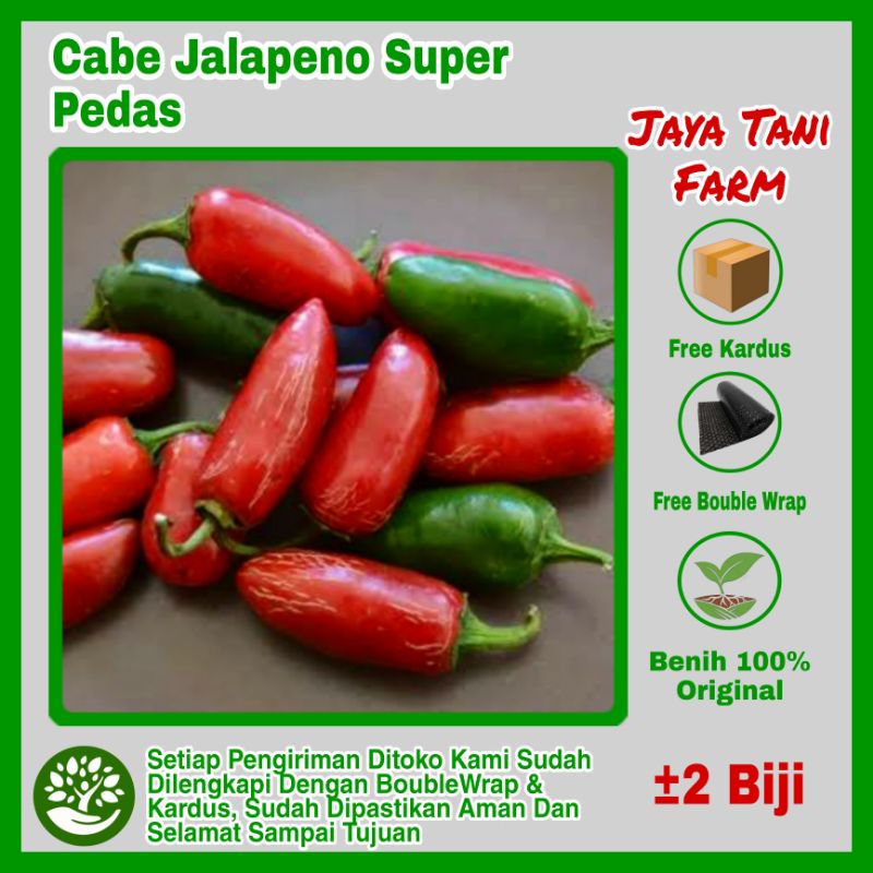 2 Biji Benih Cabe Cabai Jalapeno Super Pedas / Benih Sayuran / Bibit Sayuran / Biji Cabe / Benih Cab