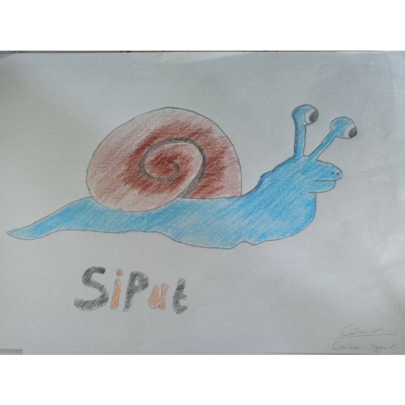 

gambar siput/gambar tangan/ gambar sketsa/ gambar pensil siput/ gambar pewarna siput