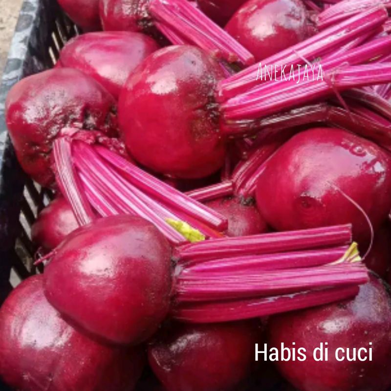 

Buah Bit Fresh Kualitas Pilihan 1Kg