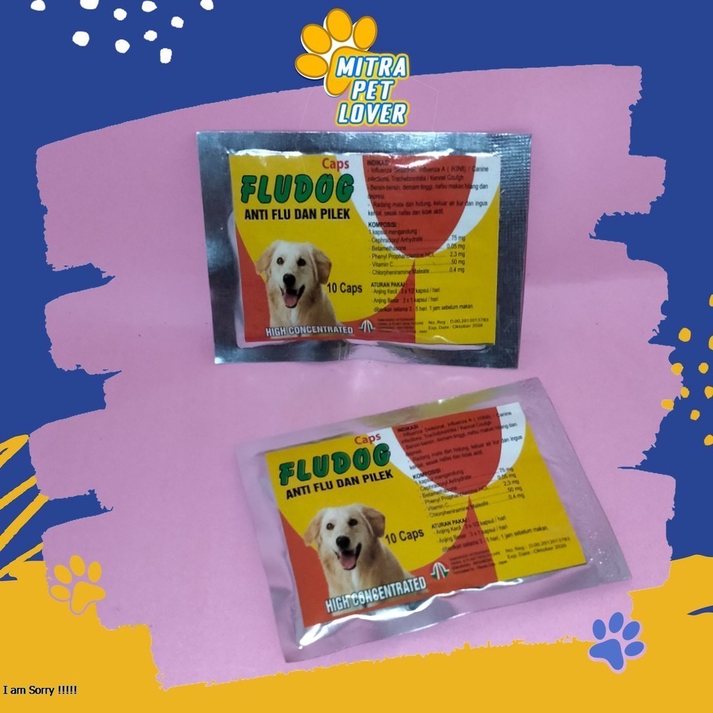 MENGOBATI FLU PADA ANJING - FLU DOG CAPSULE - 10 CAPSUL - MENGATASI INFLUENZA BERSIN DEMAM TINGGI RADANG SESAK NAFAS - MURAH ASLI GARANSI KUALITAS ORIGINAL - PET ANIMAL HEALTHCARE &amp; FLUDOG TAMASINDO OBAT KESEHATAN &amp;  VITAMIN TERNAK HEWAN MITRAPETLOVER