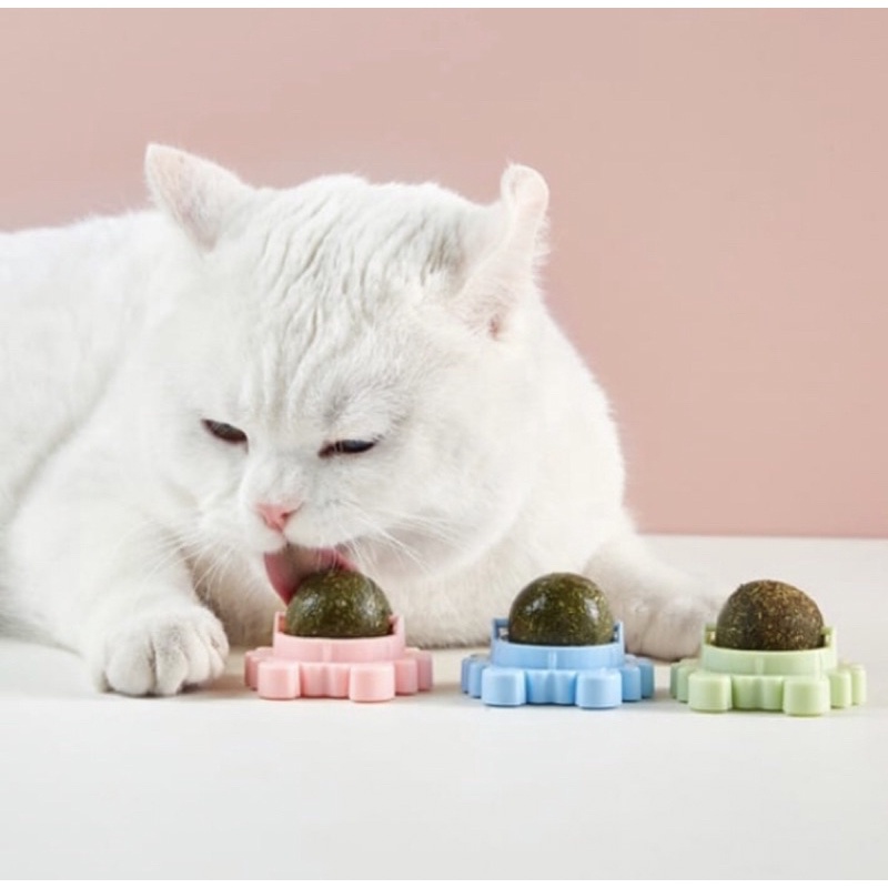 Mainan Kucing Bola Catnip Rotating Catnip Ball Cat Candy Kucing Anti Stress
