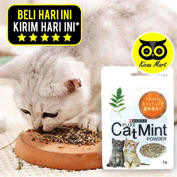 Catnip Catmint Snack Kucing Makanan Cemilan Kucing Pure Powder Penghilang Stress Kucing Kitten Anabul Rileks Cat Mint Cat Nip Menthol Serbuk Organik Snack Cemilan Kucing