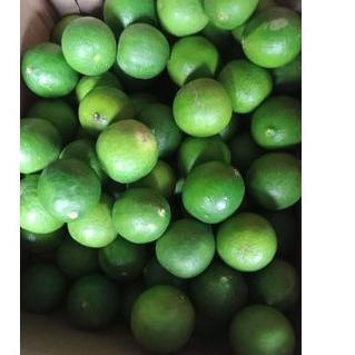 

ヲ [HARGA GROSIR] Jeruk Nipis Segar Murah 1kg/500gram ☂