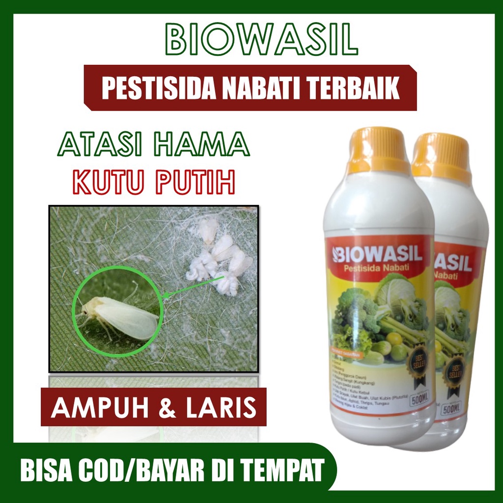 (BISA COD) Pestisida BIOWASIL Atasi Hama Kutu Putih Pada Cabe, Tomat, Kakao, Padi, Jambu dll – Pesti