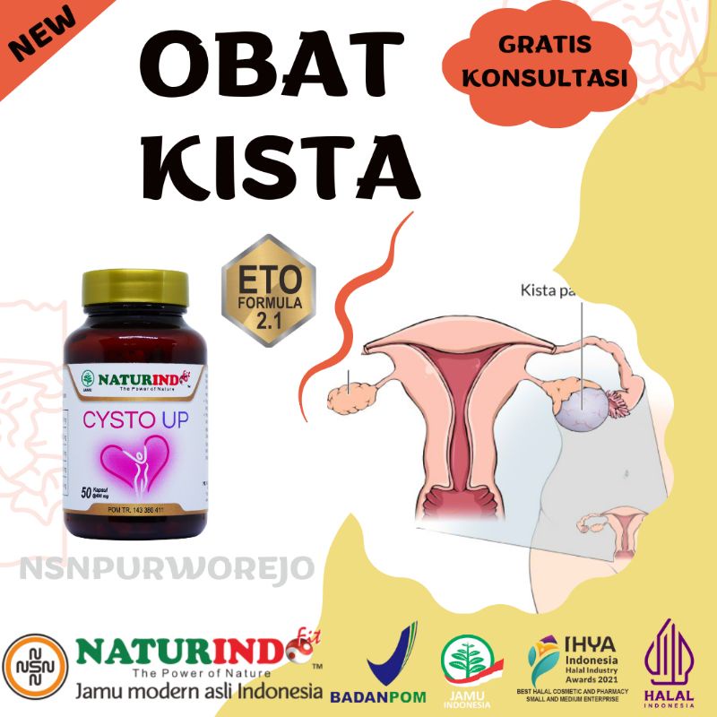 Obat Kista 50 Kapsul Ovarium Bartholin Endometriosis Pcos Ganglion Tumor  Herbal Cysto Up Naturindo
