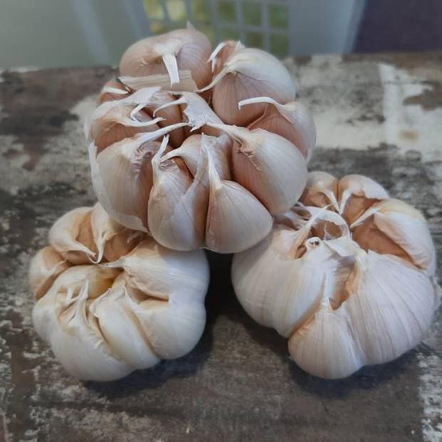 

Bawang putih honan/biasa 250 gram ㅢ