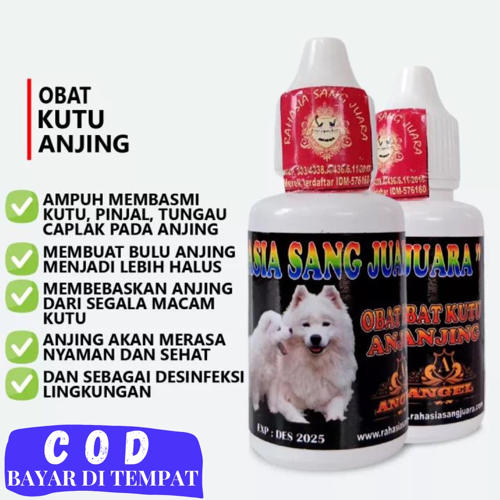 Jual Obat Kutu Anjing Ampuh Mengatasi Segala Jenis Kutu Pinjal Tungau