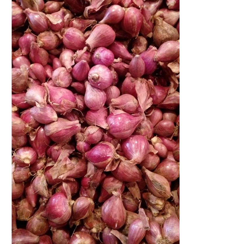 

BISA COD ✔️Bawang Merah Brebes Asli Ukuran Besar / Super 1kg kering|KD3