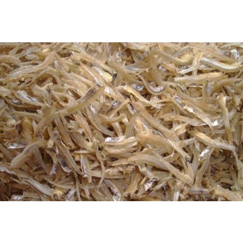 

Teri serba 3ribu