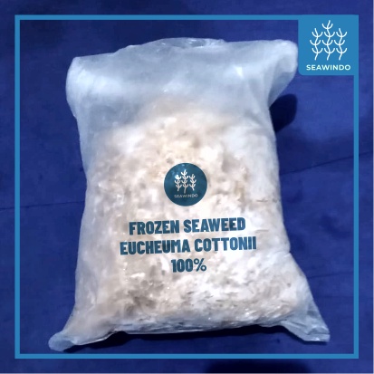 

RUMPUT LAUT BEKU (Frozen Seaweed) - Eucheuma Cottonii