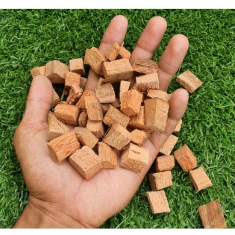 Cocochip Media Tanam Dan Alas Reptil Cocochip Tanpa Kulit